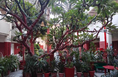 Rakabganj Hotel | HOTEL TOURIST REST HOUSE Agra