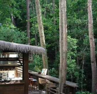 Tunxi Hotel | Huangshan Xishui Yunjian Forest Resort Hotel