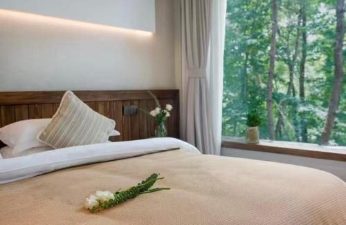 Tunxi Hotel | Huangshan Xishui Yunjian Forest Resort Hotel
