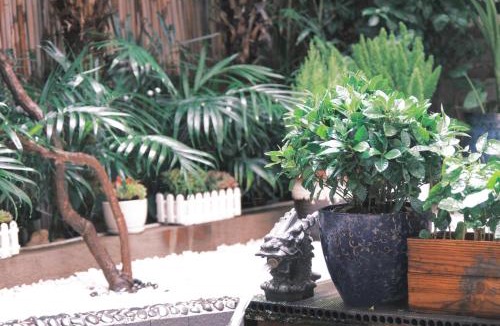 Dali Ancient Town Hotel | Huanxi Courtyard Luxury B&B, Dali Old Town