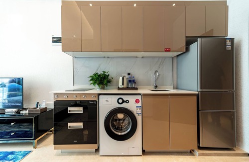 Huaqiang North Apartment | Huaqiang North Executive Apartment