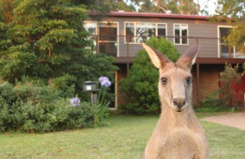 Erowal Bay House | Jan's Retreat by Experience Jervis Bay