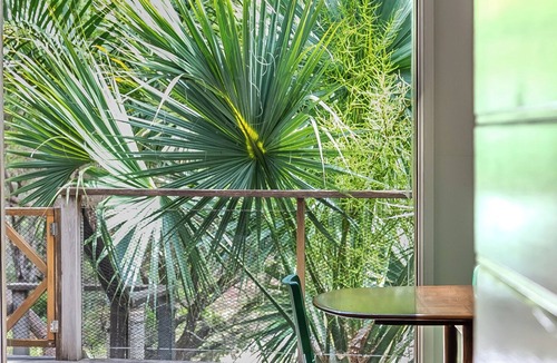 Wooloweyah House | Lake front home bordering Yuraygir Coastal Walk and Angourie Surfing Reserve