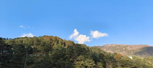 Dharamshala House | Little Tibet Mcleodganj