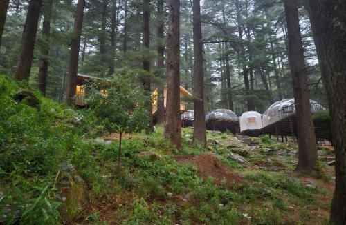 Dharamkot Resort | log hut dharamkot