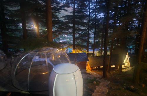 Dharamkot Resort | log hut dharamkot