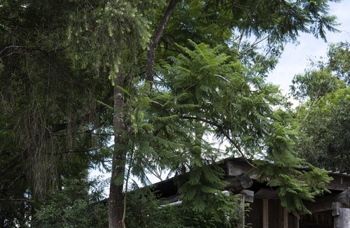 Upper Colo Other | Luxury Farmstay with Private River Access