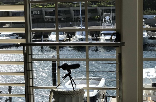 Woolloomooloo Apartment | Luxury Harbour Escape Woolloomooloo Walk to Dining