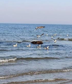 Yantai Hotel | Manxin Hotel Wuyue Plaza Yantai Railway Station