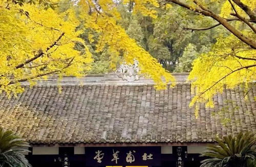 Qingyang Hotel | Manxinfu Chengdu Dufu Caotang