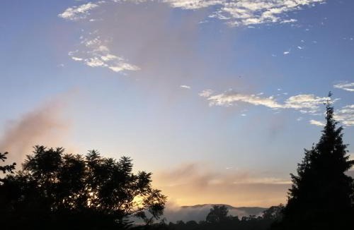 Shillong Bed & Breakfast | Montevideo Boutique Homestay