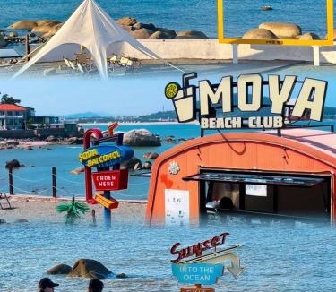 Diaolongzui Hotel | Moya Resort Hotel-Near Laoshan Scenic Area,Free Private Beachcombing, Free DIY Experience, 3 Free Photographers' Photos, Paid provision Featured Seafood