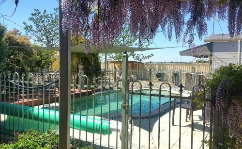 Rutherglen Bed & Breakfast | Must Love Dogs B&B & Self Contained Cottage