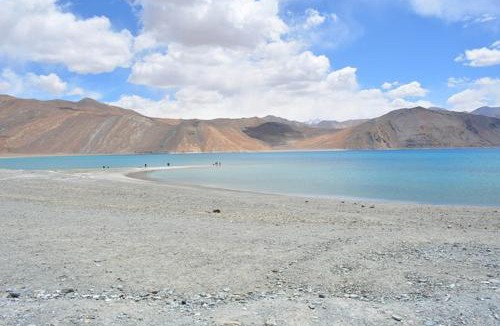 Leh Hotel | Mystic Mountains Cottage Merak Pangong