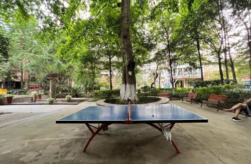 Shizhong District Apartment | Nicer Family