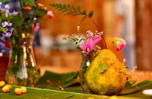 Xingping Ancient Town Hotel | Nirvana Organic Farm Inn