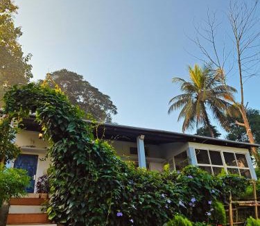 Sualkuchi House | Org Retreat & Farmstay