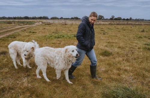 Mundoona House | Organic Farm Stay by Tiny Away