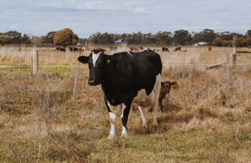Mundoona House | Organic Farm Stay by Tiny Away