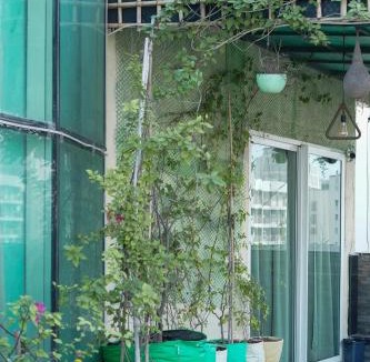 Noida Apartment | Penthouse