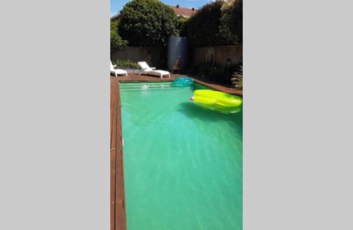 South Coogee House | Poolside in Coogee