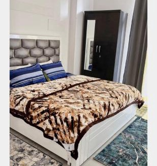 Greater Noida Apartment | Proview 3 Bhk colorful and cosy apartment