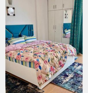 Greater Noida Apartment | Proview 3 Bhk colorful and cosy apartment