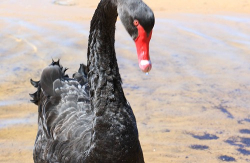 Lakes Entrance Hotel | Quiet location across from the Lake. Easy walk into town.