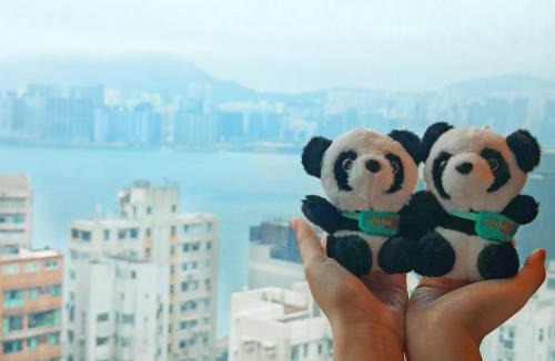 North Point Hotel | Ramada Hong Kong Grand View