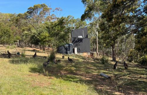 Richmond Villa | Richmond Wildlife Haven