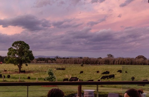 Taree House | Riverglen Country Escape Pool and River Views Sleeps 10