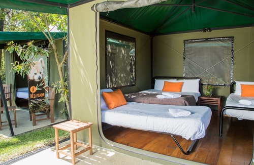 Mosman Cabin | Roar and Snore at Taronga Zoo Sydney