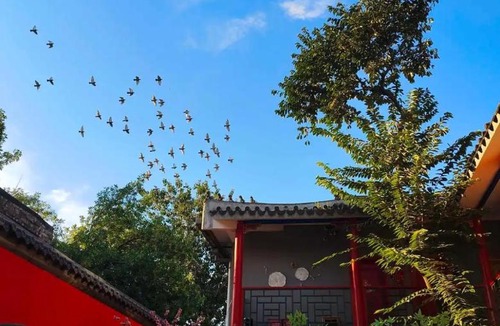 Dongcheng Hotel | Rong Hotel Beijing Nanluoguxiang Branch