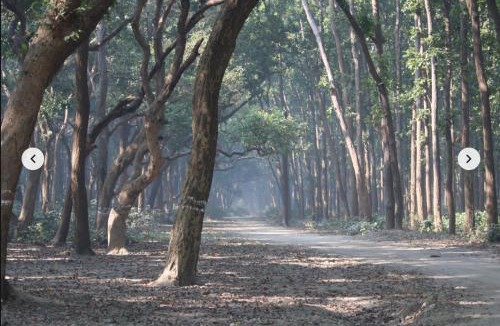 Puranpur House | Sapt Sarovar Homestay