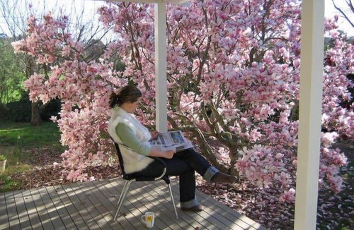 Bundanoon Apartment | SECLUDED, QUIET, PRIVATE "FERNDALE" B&B Farm Stay 5mins to BUNDANOON or EXETER