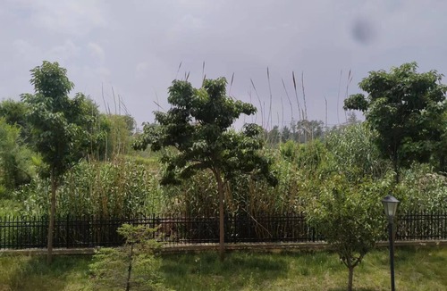 Weihai Apartment | Serene Countryside Getaway