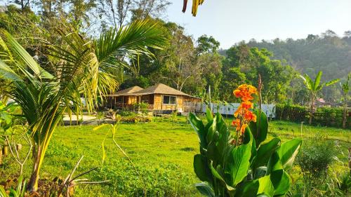 Cox's Bazar Hotel | Sky Eco Resort