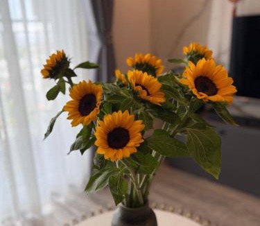 Phan Rang Apartment | Sun's house