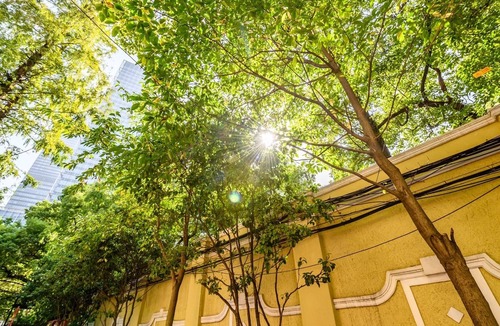 Jing'an House | Sunny 1 Bdrm Apt W/ large Balcony facing Jing'An Kerry Center. Mins walk to Sbwy