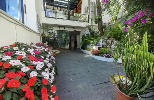 Dayan Old Town Hotel | Sunshine