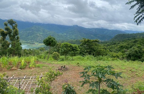 Saikul House | The Blooming Hill