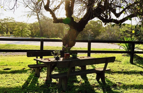 Somersby Cabin | The Charming Studio Escape to Somersby – A Peaceful, Pet-Friendly Retreat