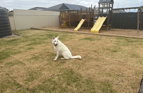 Moonta Bay House | The Coastal Crab, Moonta Bay. Family & Pet friendly holiday accommodation