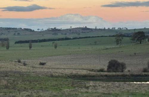 Central Tablelands House | The Dairy and Pines Tiny house by Tiny Away