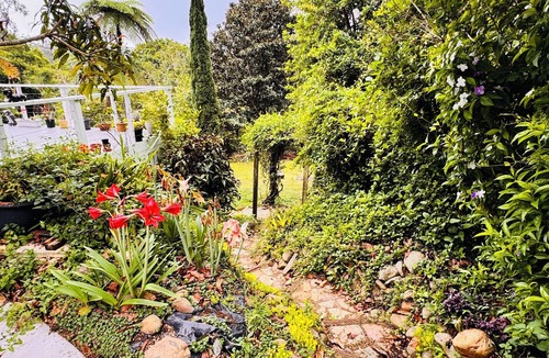 Eagle Heights House | The Metta House Tamborine Mountain