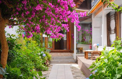 Dayan Old Town Hotel | The Naxi Hereditary Courtyard - Chinese Nature's Design Retreat - Tickets Reservation & Luggages Pick-up Sevices