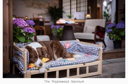 Dayan Old Town Hotel | The Ripplewood Sanctum - Lijiang Old Town Mufu Branch - English service and tour arrangement - Affordable homemade dinner offered