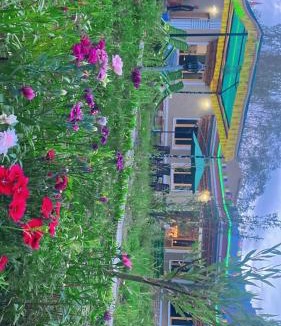 Hundur Hotel | The shore