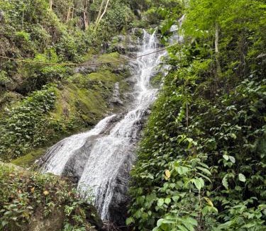 Dirang House | Thupten Homestay, Dirang