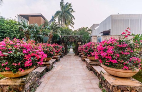 Sanya Villa | Tide Inn Sanya